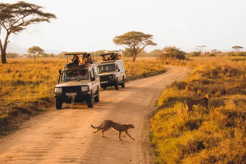 tanzania-trip
